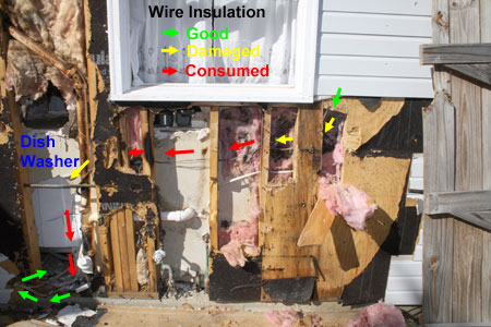 Photo: Damaged Power Cable to Dishwasher