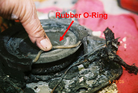 Photo: Rubber O-Ring