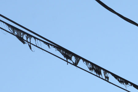 Closeup-Melted Cable TV Coax at Pole