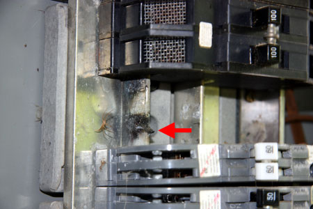 Zinco Panel with a Section of the Power Bus Melted
