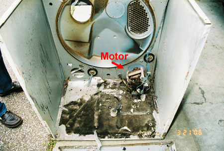 Dryer Motor