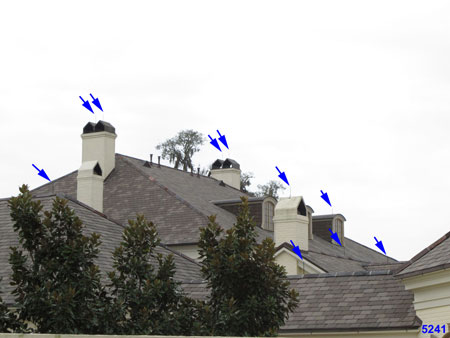 10 Lightning Rods on Adjacent House