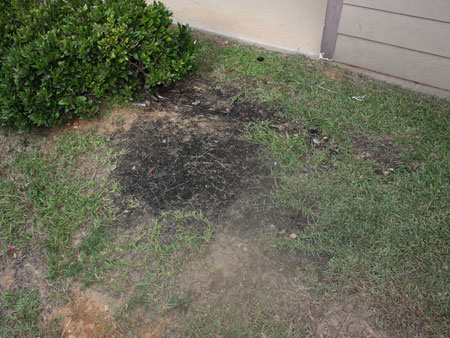 Burn Marks Where Lightning Struck the Ground