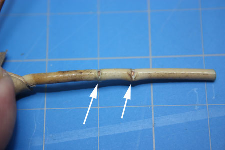 Wire with Insulation Cut by Splicing Jaws